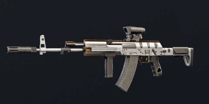Rainbow Six Siege AK-12 first class burglary skin