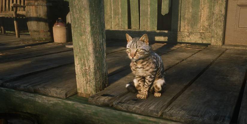 Red Dead Online Troll Kills Cat