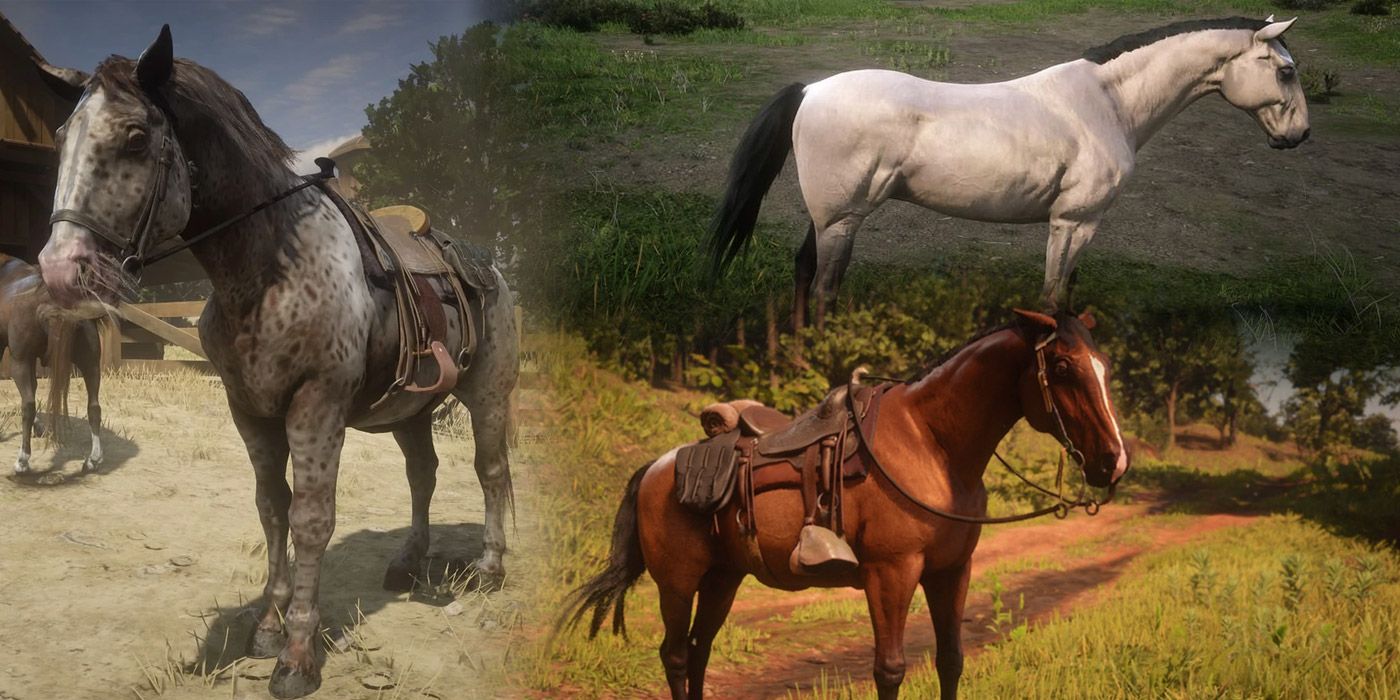 Red Dead Redemption Horses