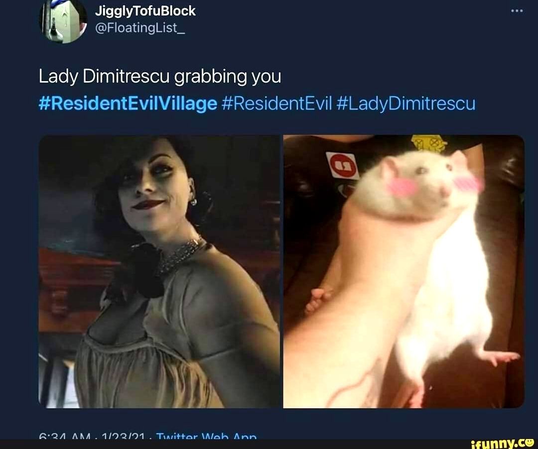 Resident Evil 8 Lady Dimitrescu And Hamster Meme