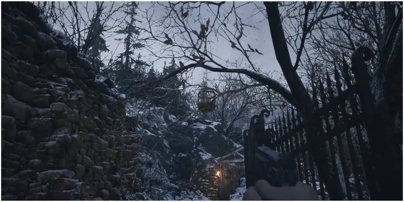 Destroy the bird cages for rewards