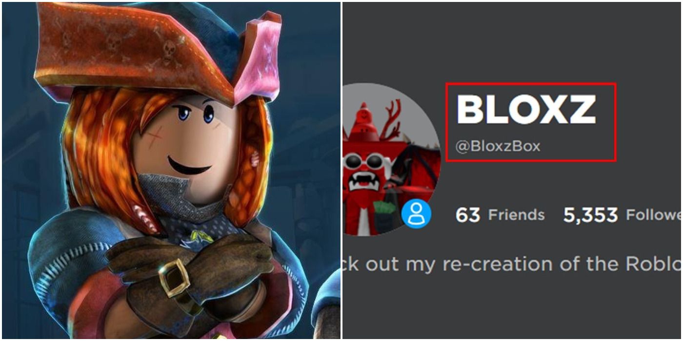 Roblox Display Name Feature