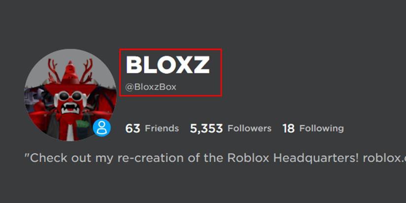 Roblox Display Name