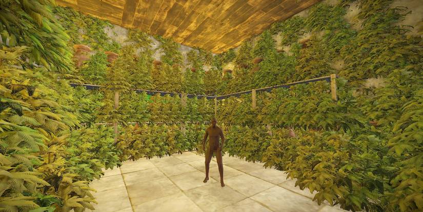 Rust Hemptopia