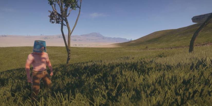Rust: How To Get A Fast Start In The Wipe