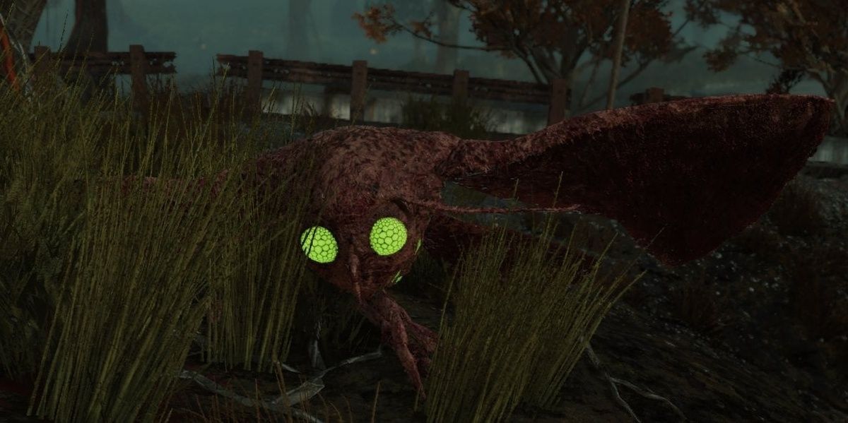 Scorched Mothman Fallout 76