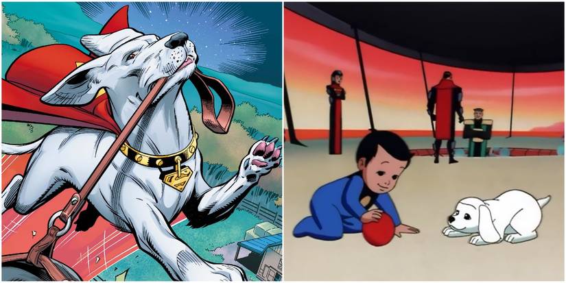 A Split Image Of Kryptos Origins