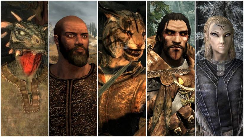 A Split Image Of Skyrims Races