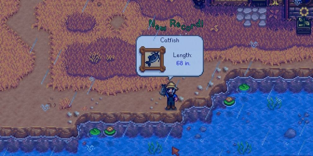 Fisher catching a catfish in Stardew Valley