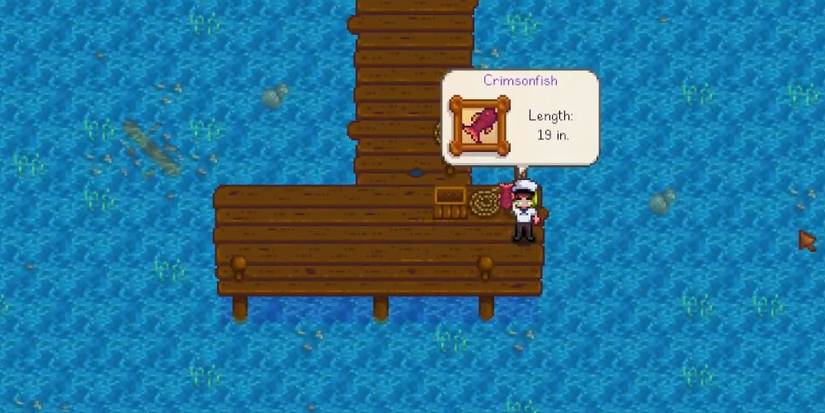 Fisher catching a crimsonfish