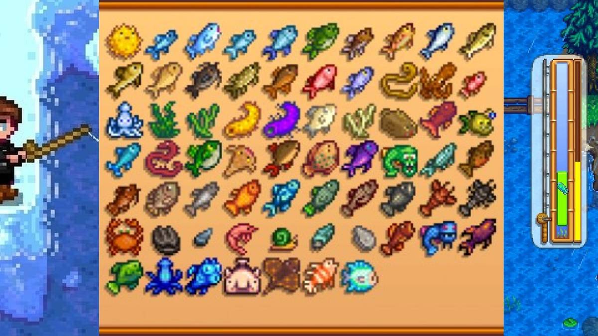 Two fishers and all the fish you can catch in stardew valley