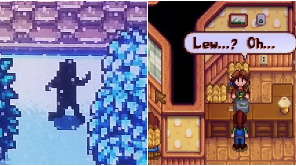 Stardew Valley Rarest Events Feature