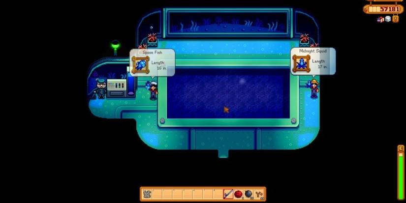 Spook fish catching location