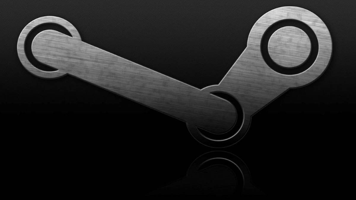 steam logo valve