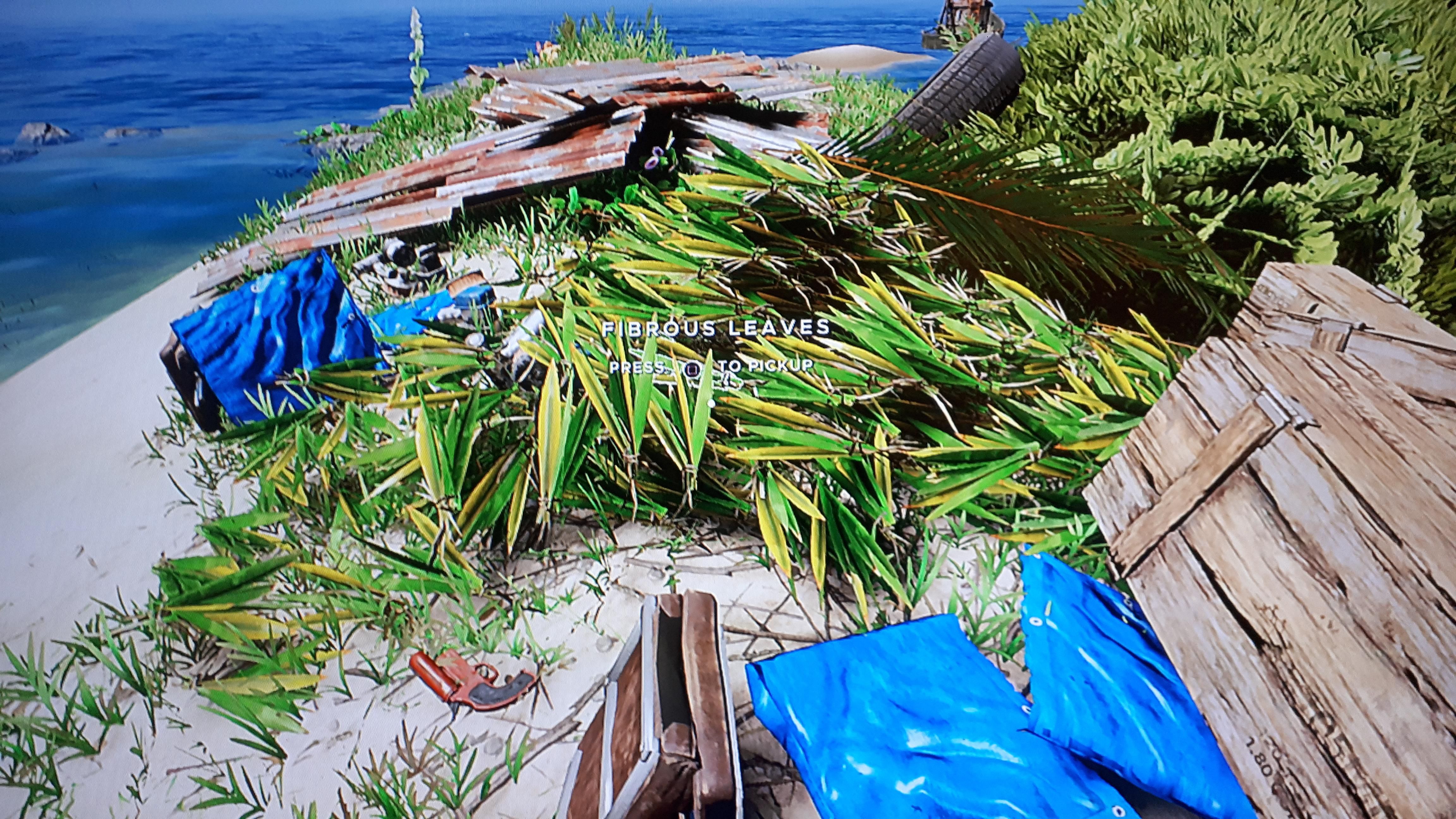 Fibrous Leaves Are A Resource Worth Hoarding In Stranded Deep