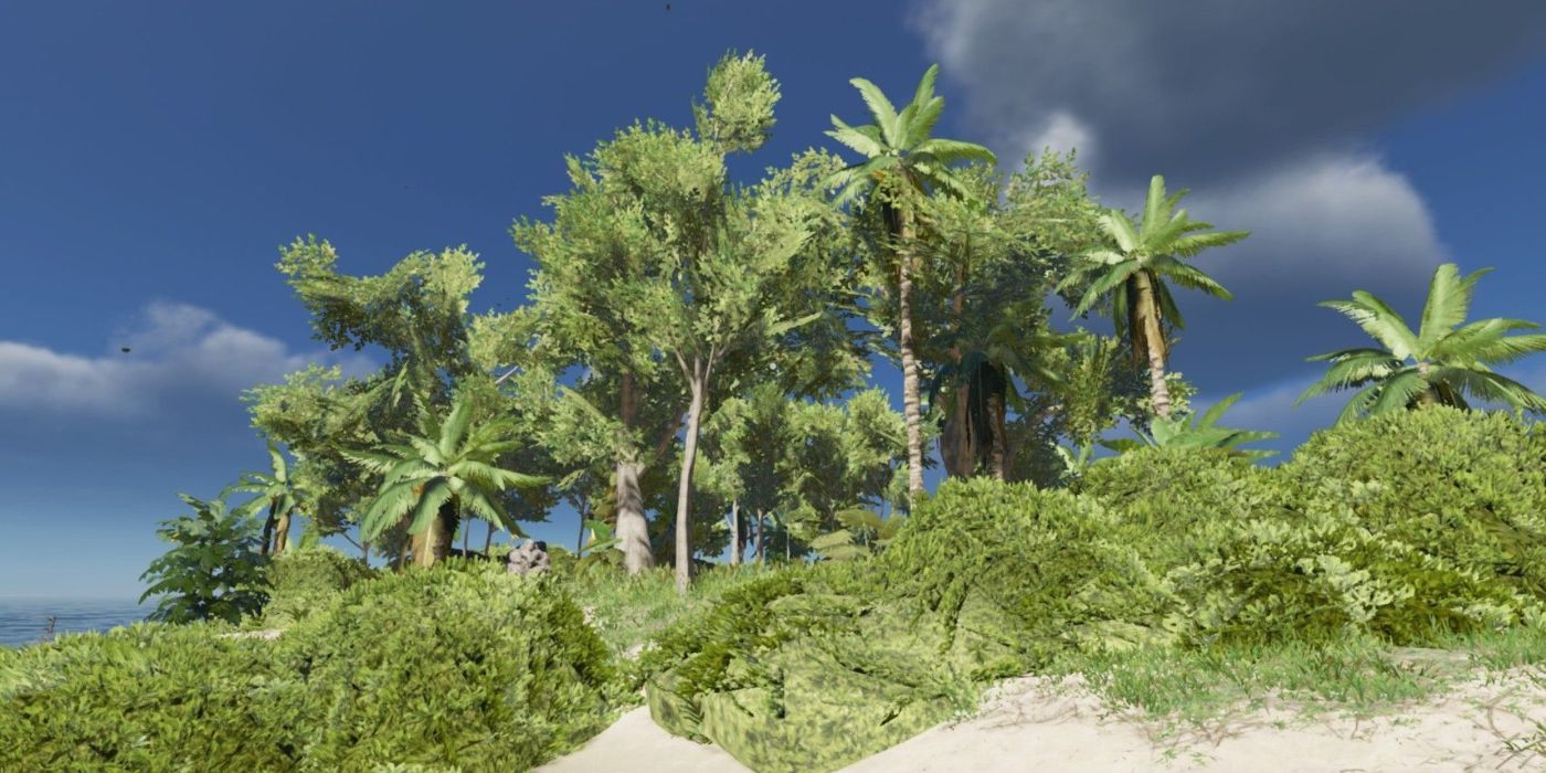 Yucca Trees Are One Of The Most Useful Plants To Farm In Stranded Deep