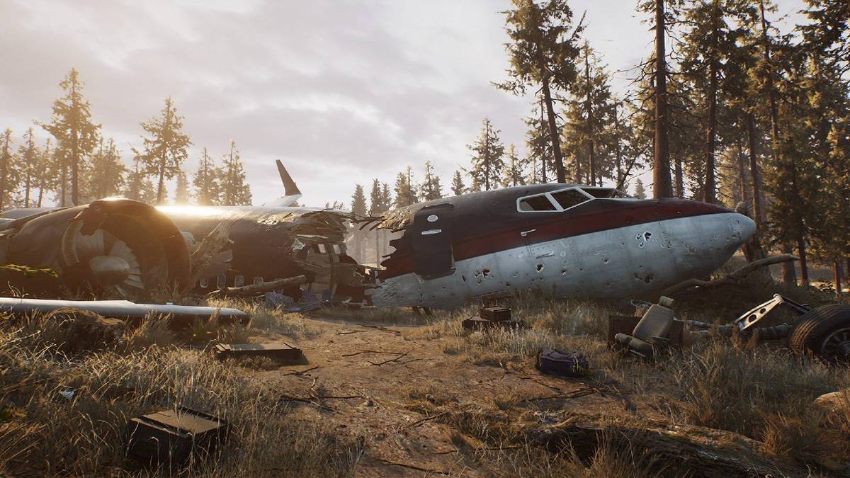 The Day Before Downed Plane