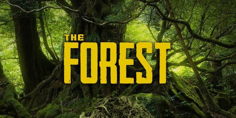 The forest, words over a green dense forest