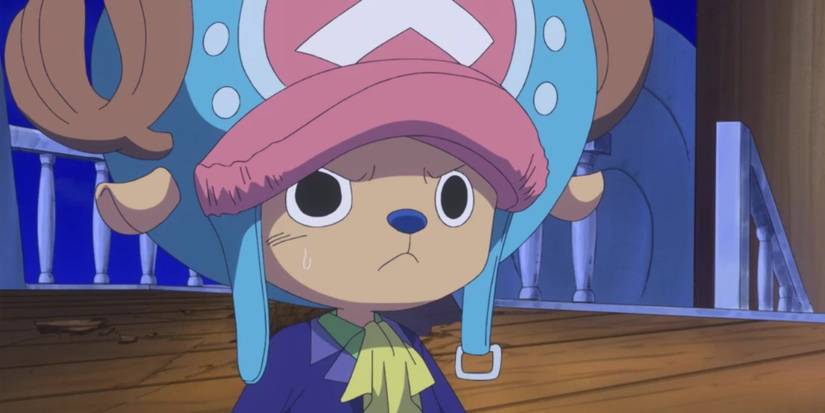 One Piece Tony Tony Chopper Suit