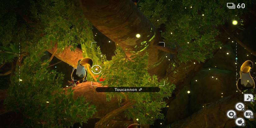 Tree Dwelling Pokemon Request Guide