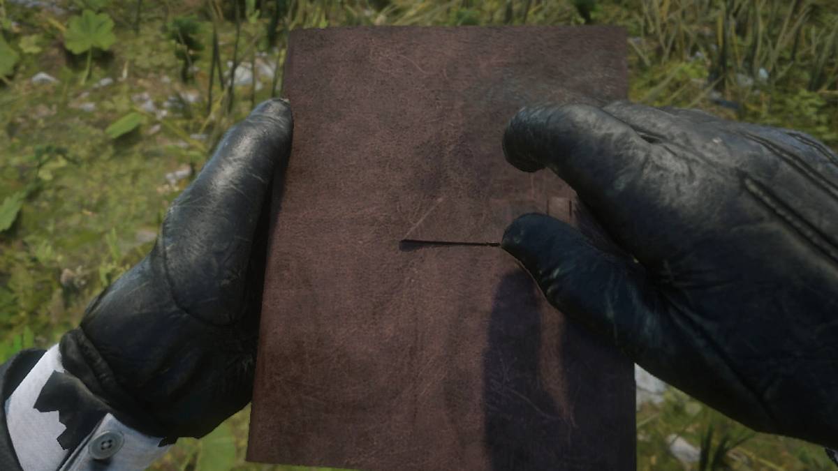 Red Dead Redemption 2 Story Progress Journal