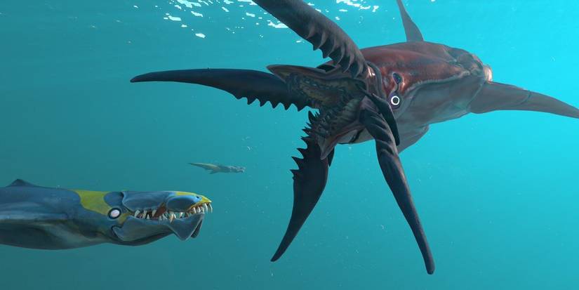 Chelicerate about to bite Sand Shark