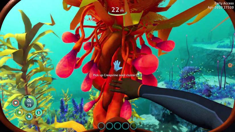 How to get Creepvine Seed Clusters