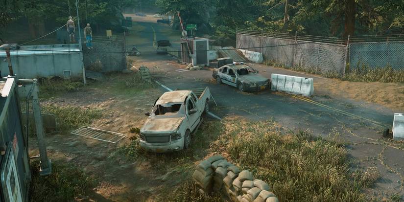 A NERO Checkpoint in Days Gone