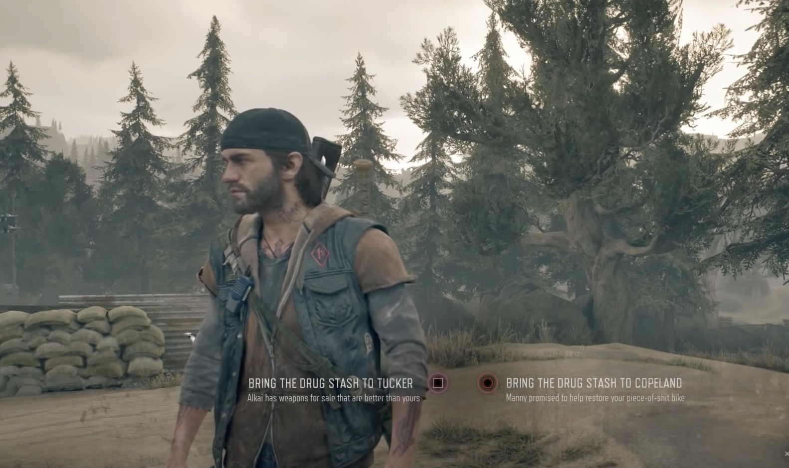 days gone choice