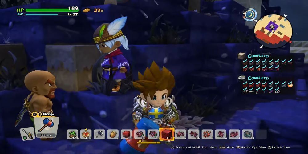 dragon quest builders 2 builder and bard