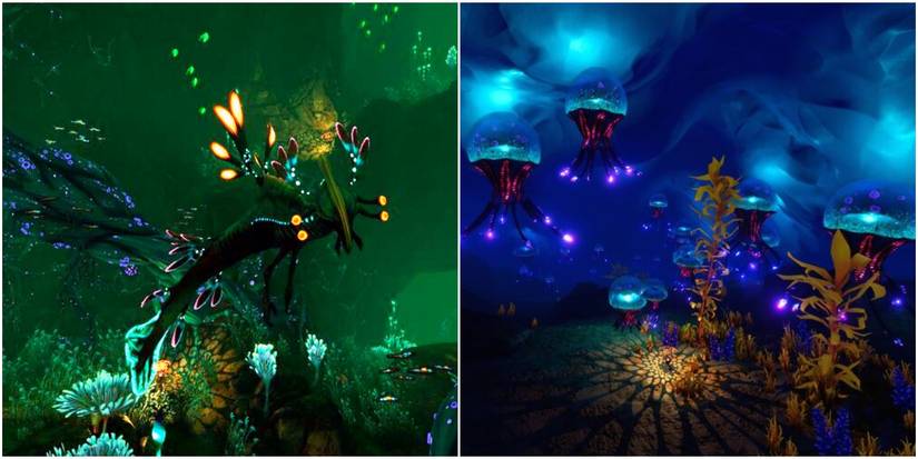 lilypads crevice and glacial connection biomes.