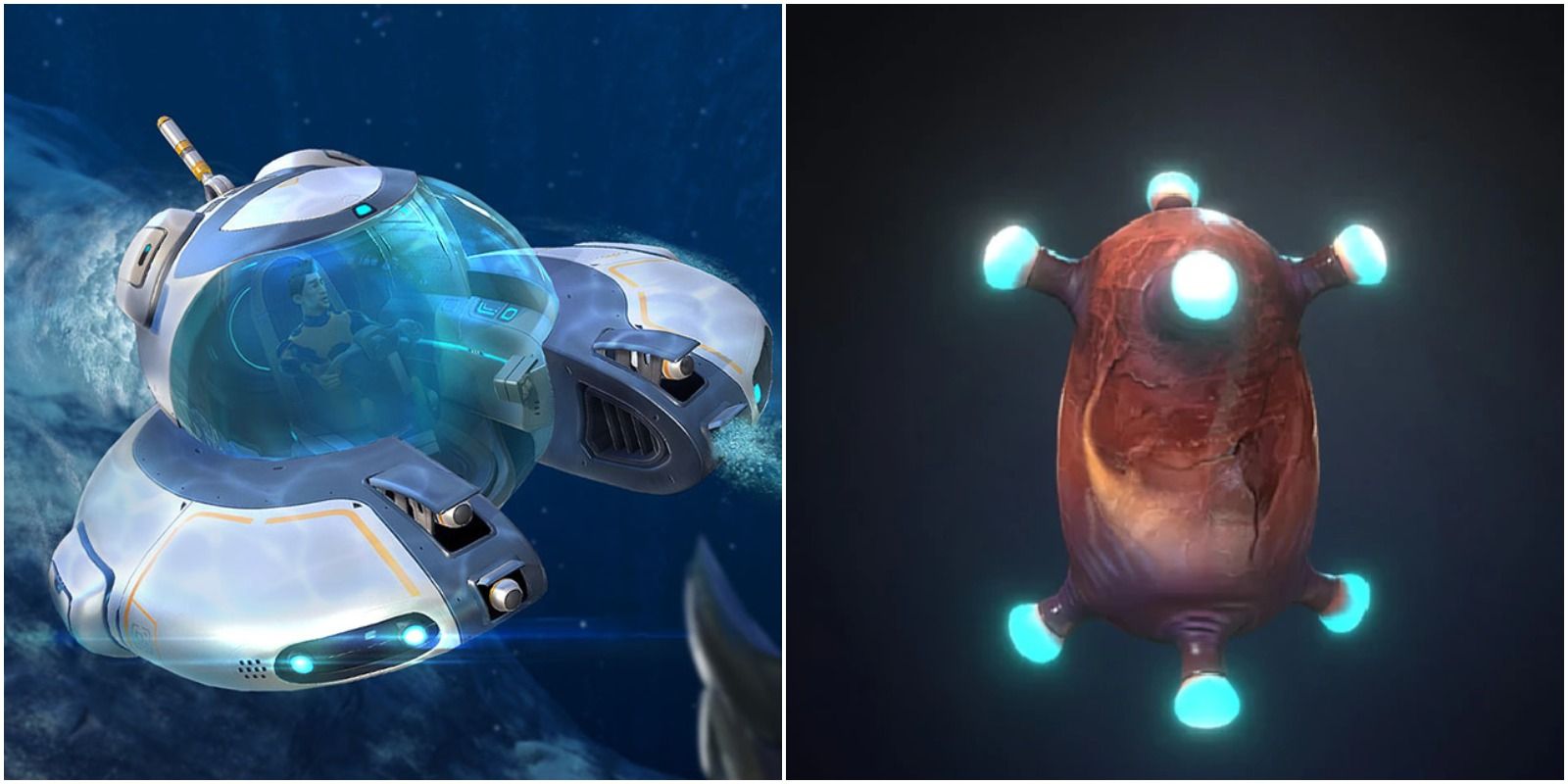seamoth and ampeel egg.
