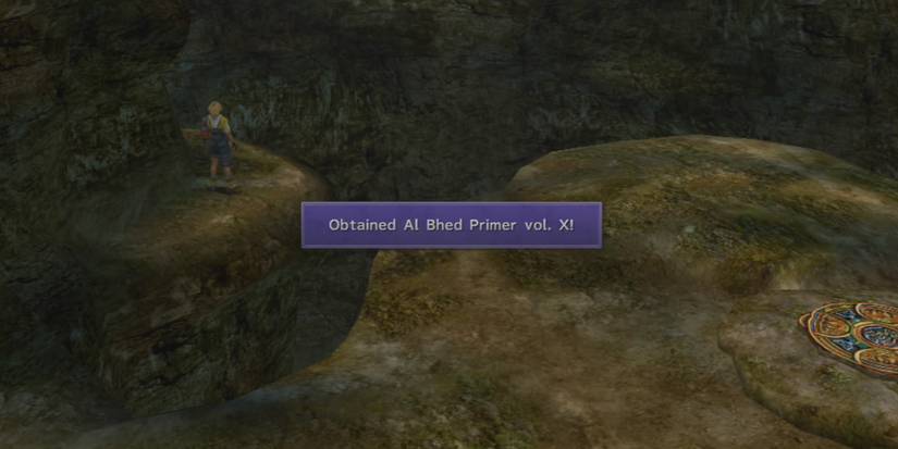 The location of the 10th Al Bhed Primer in Final Fantasy 10