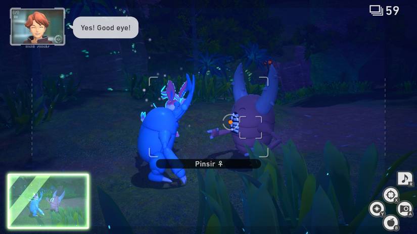 heracross and pinsir new pokemon snap picture