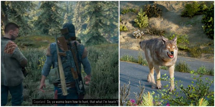 hunting in days gone