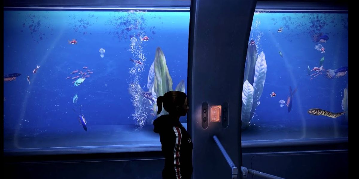 Shepard standing in front of fish tank.