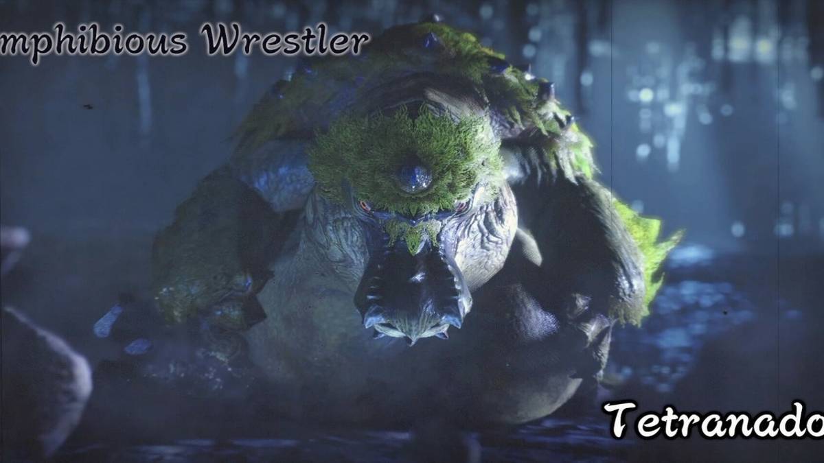 monster hunter rise tetranadon