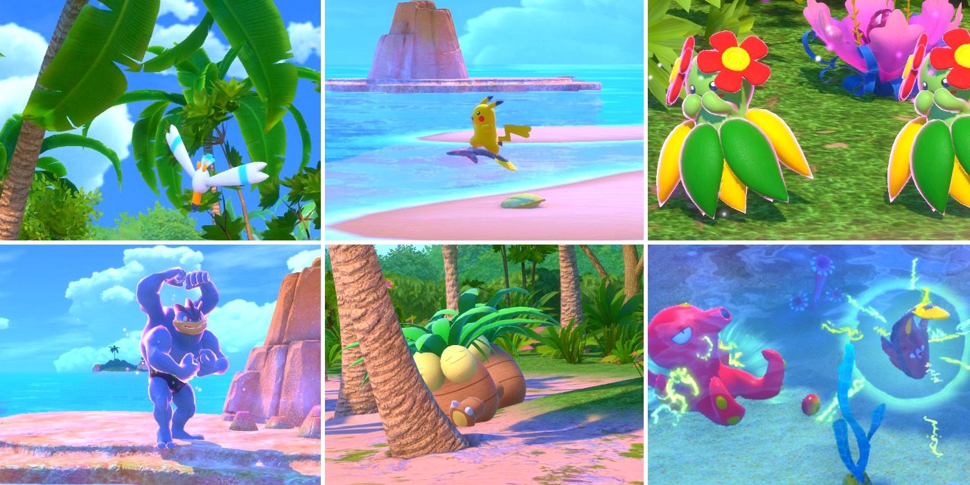Some of the photo requests in the Blushing Beach (Day) course in New Pokemon Snap