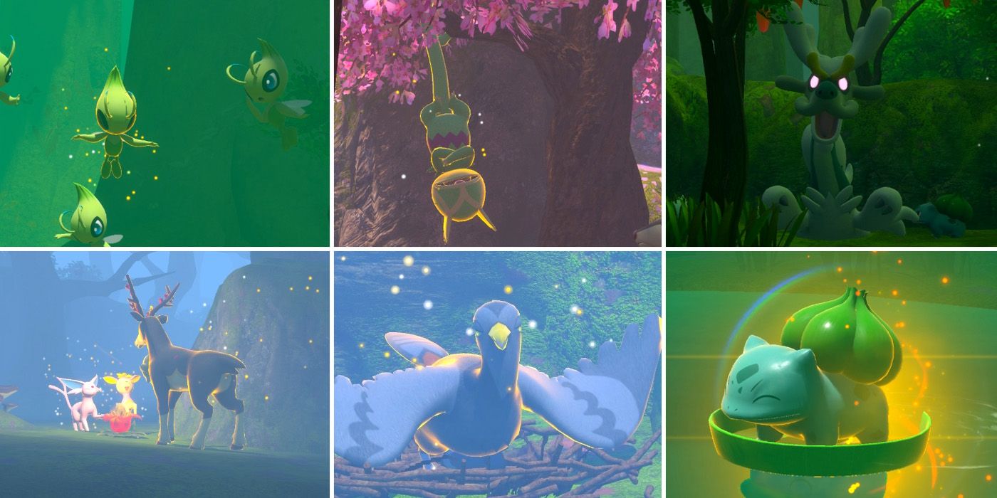 Некоторые запросы на фотографии в курсе Elsewhere Forest в New Pokemon Snap