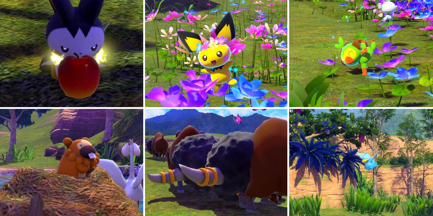 Some of the photo requests in the Florio Nature Park (Day) course in New Pokemon Snap