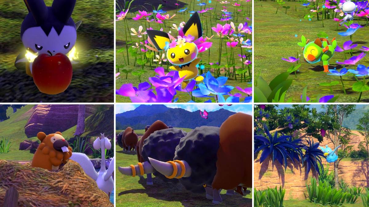 Some of the photo requests in the Florio Nature Park (Day) course in New Pokemon Snap