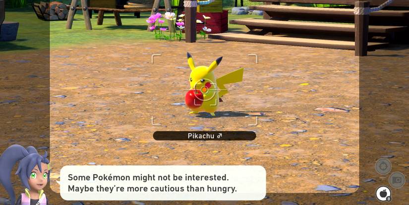 Luring a Pikachu closer to the camera with Fluffruit in New Pokemon Snap