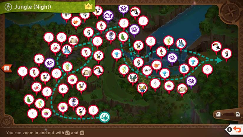 A complete map of the Founja Jungle (Night) course in New Pokemon Snap