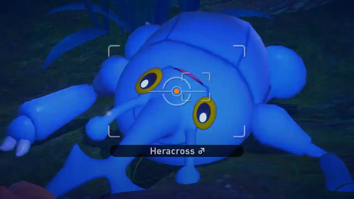 new pokemon snap where it snacks and snoozes