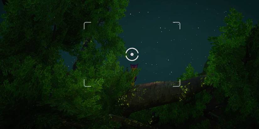 new pokemon snap an unusual spot request