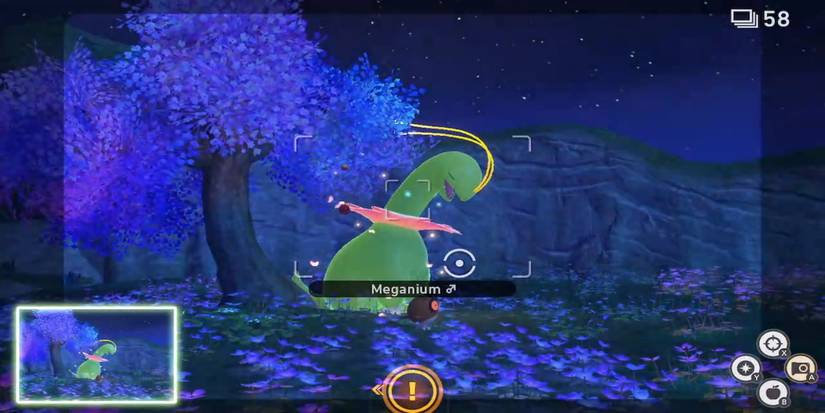 new pokemon snap meganiums pal