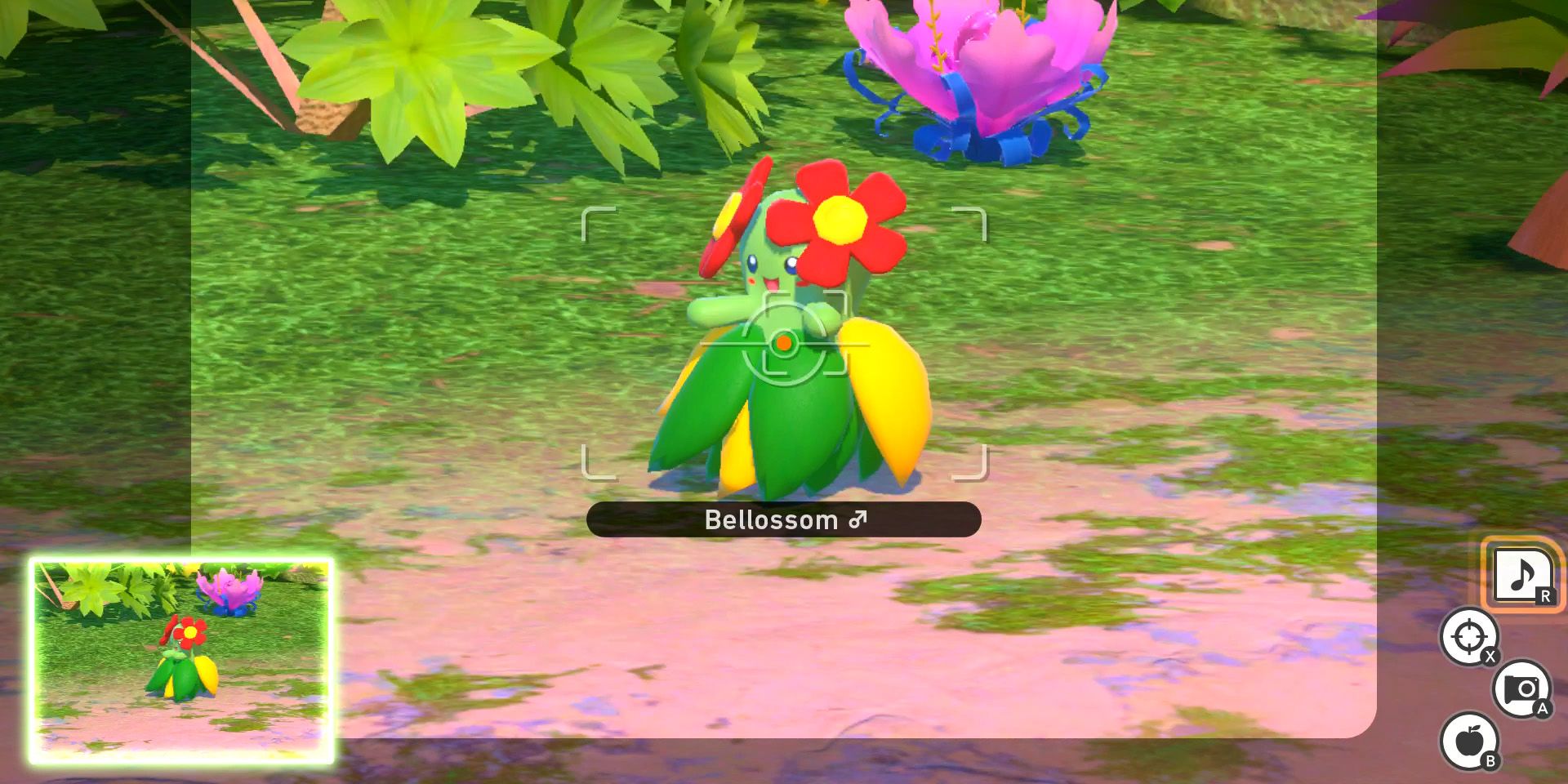Bellossom dances after the player uses the Melody Player in New Pokemon Snap
