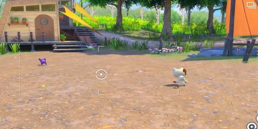 new pokemon snap rattata meowth