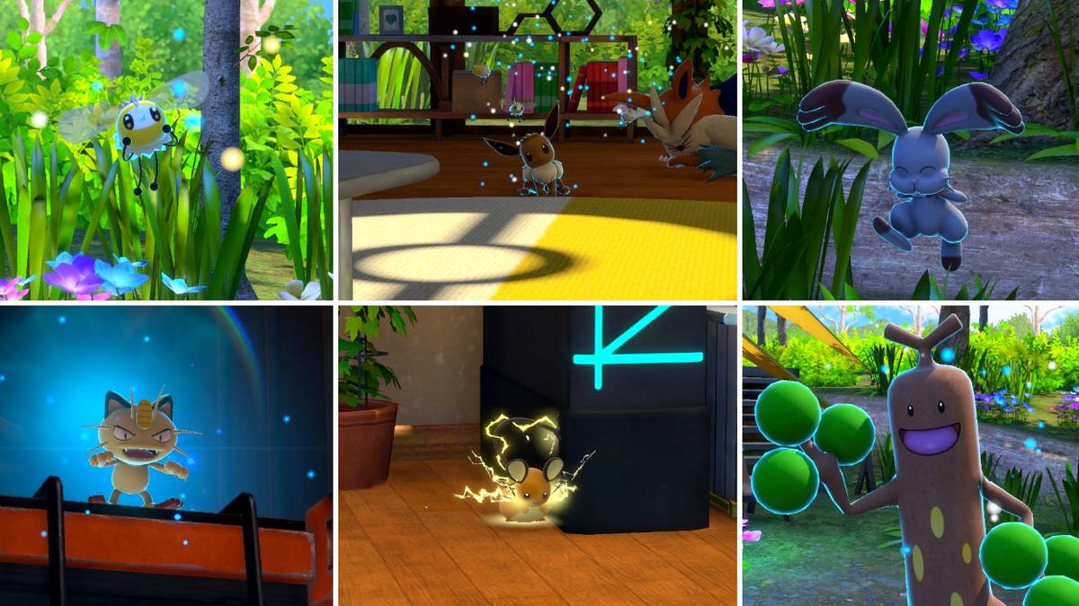 Some of the photo requests in the Research Camp course in New Pokemon Snap