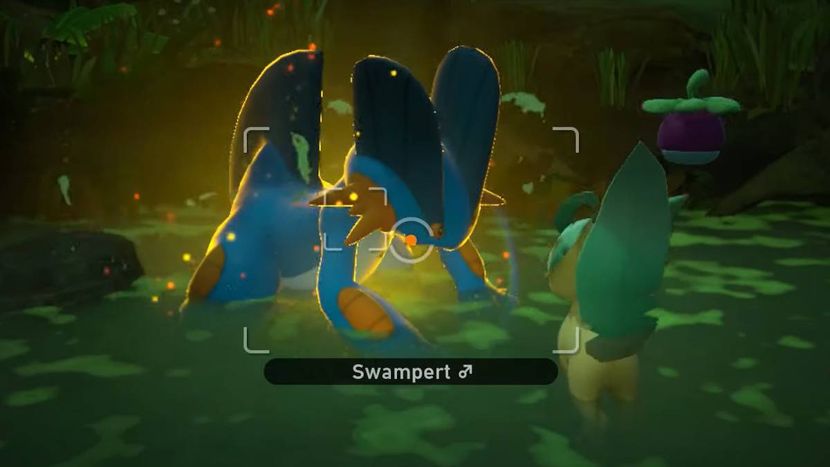 new pokemon snap why so still